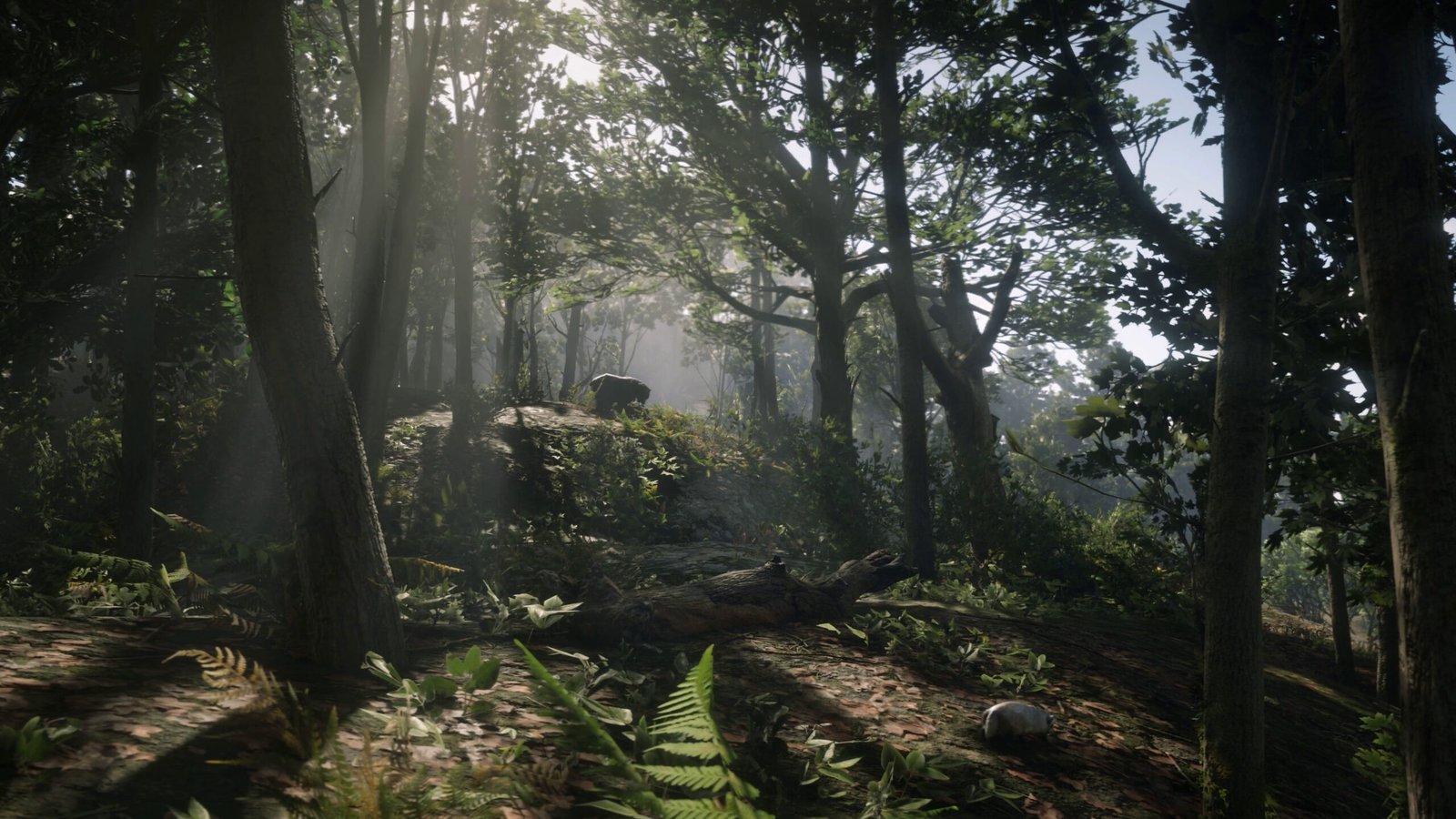 Cenário de Red Dead Redemption 2 em floresta