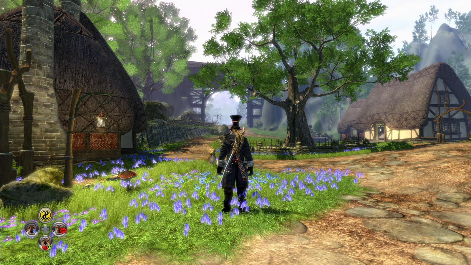 Herói atravessa um campo florido em Fable II original